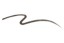 eyeliner_brown